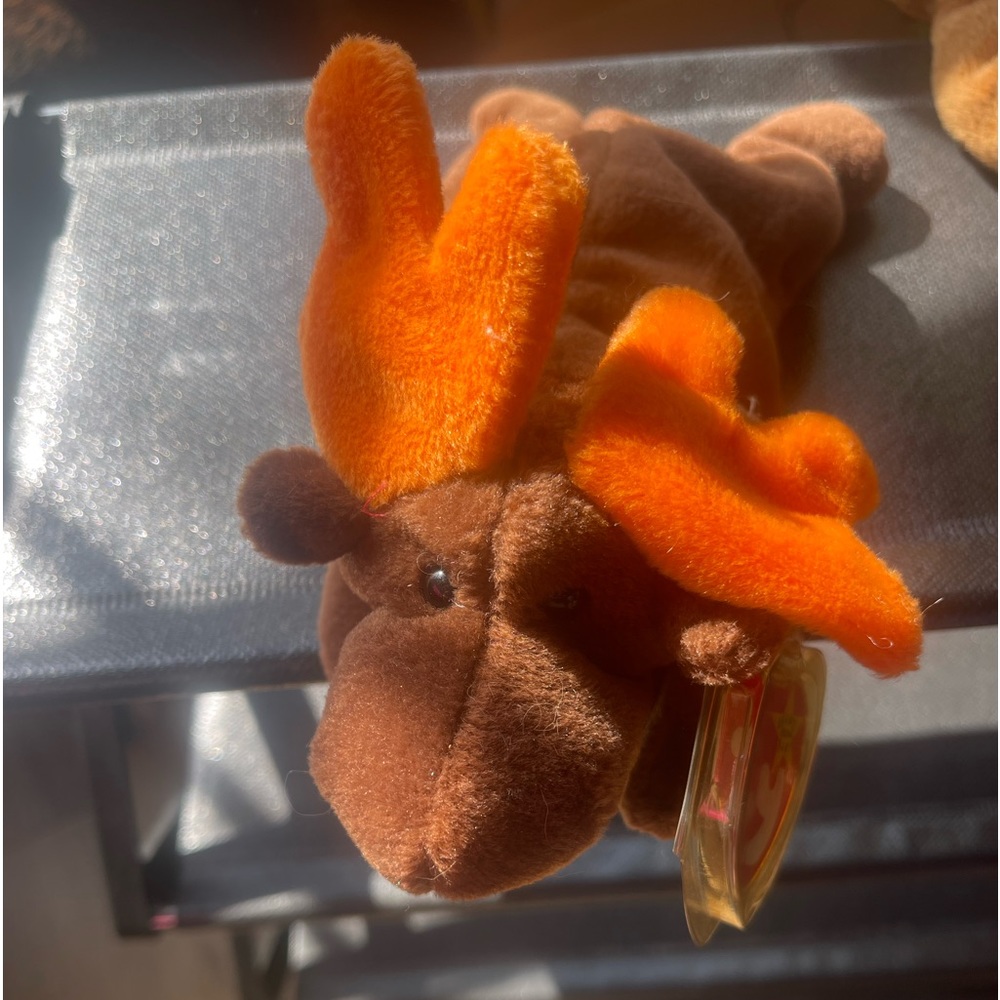 Ty moose and friend moose sealed tag